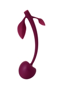 Бордовая вагинальная вишенка Wild Cherry - 14,5 см. - фото, цены