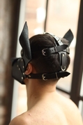 Эффектная маска собаки с металлическими заклепками - фото, цены