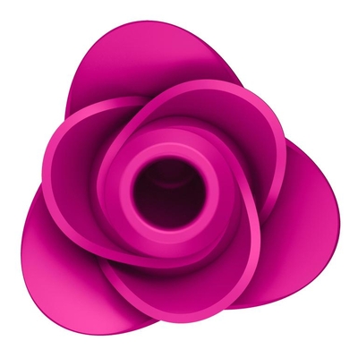 Ярко-розовый вакуум-волновой стимулятор Pro 2 Modern Blossom - фото, цены