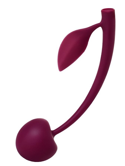 Бордовая вагинальная вишенка Wild Cherry - 13 см. - фото, цены