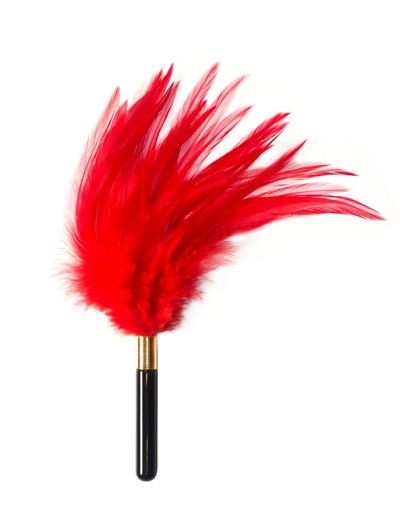 Красный перьевой тиклер Plume - 23 см. - фото, цены