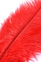 Красное страусиное пёрышко - 40 см.