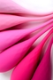 Набор из 6 розовых вагинальных шариков Eromantica K-rose