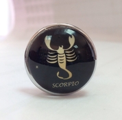 Серебристая анальная пробка со знаком зодиака - Скорпион - фото, цены