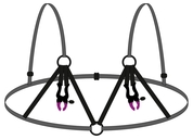 Декоративный бюстгальтер с зажимами на соски Bra with silicone nipple clamps - фото, цены
