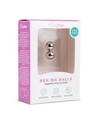 Серебристые вагинальные шарики без сцепки Ben Wa Balls - фото, цены