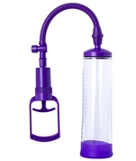 Фиолетовая вакуумная помпа с прозрачной колбой - фото, цены