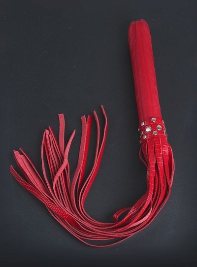 Плеть Ракета с красными хвостами - 65 см. - фото, цены