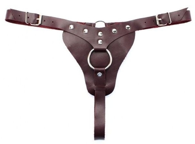 Бордовые трусики с кольцом для насадок Maroon Panties - фото, цены