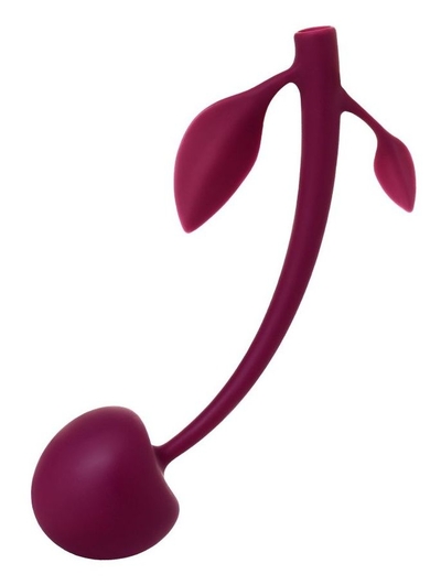 Бордовая вагинальная вишенка Wild Cherry - 14,5 см. - фото, цены