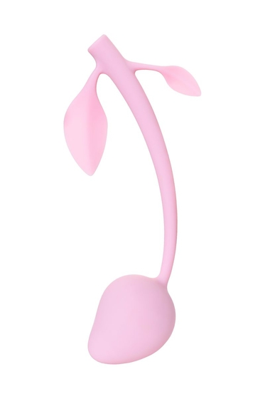 Розовый вагинальный шарик Aster - фото, цены