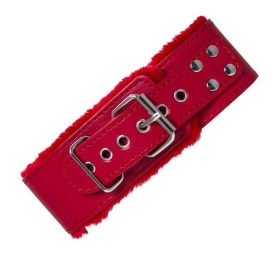 Красный ошейник с металлической фурнитурой - фото, цены