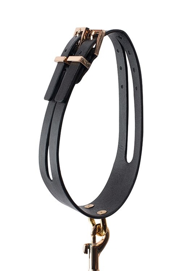 Черный ошейник Premium Collar Leash Set с золотистым поводком - фото, цены