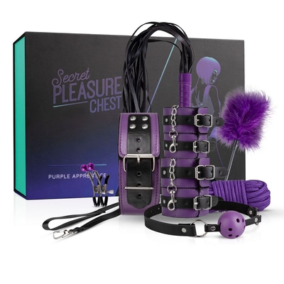 Фиолетовый эротический набор Dark Apprentice - фото, цены